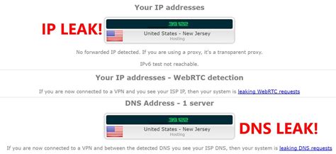 check for ip leak|Browser Privacy